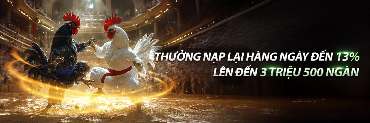 Đá Gà Thomo Trực Tiếp